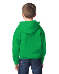 Youth Hooded Sweatshirt